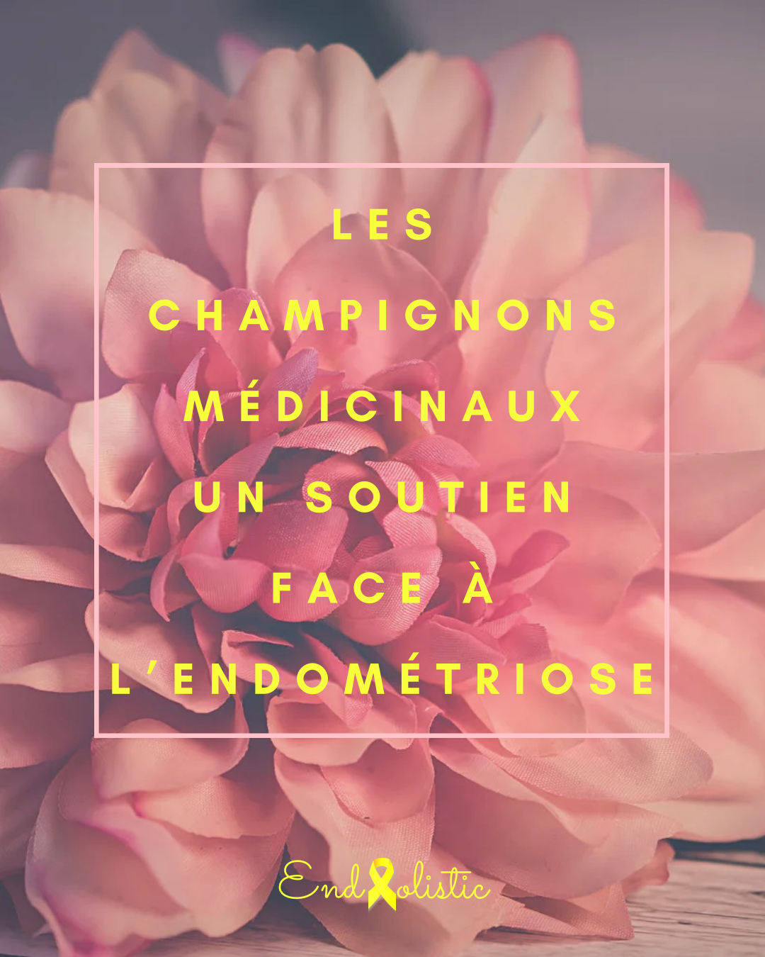 Endholistic - Coaching endometriose Facebook ad