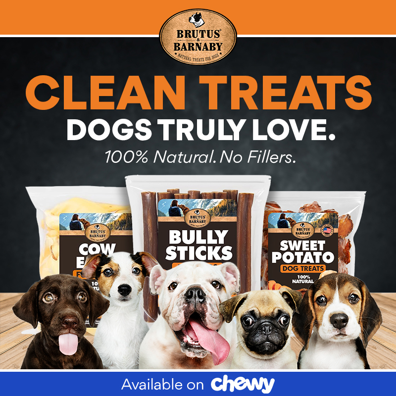 Chewy Facebook ad