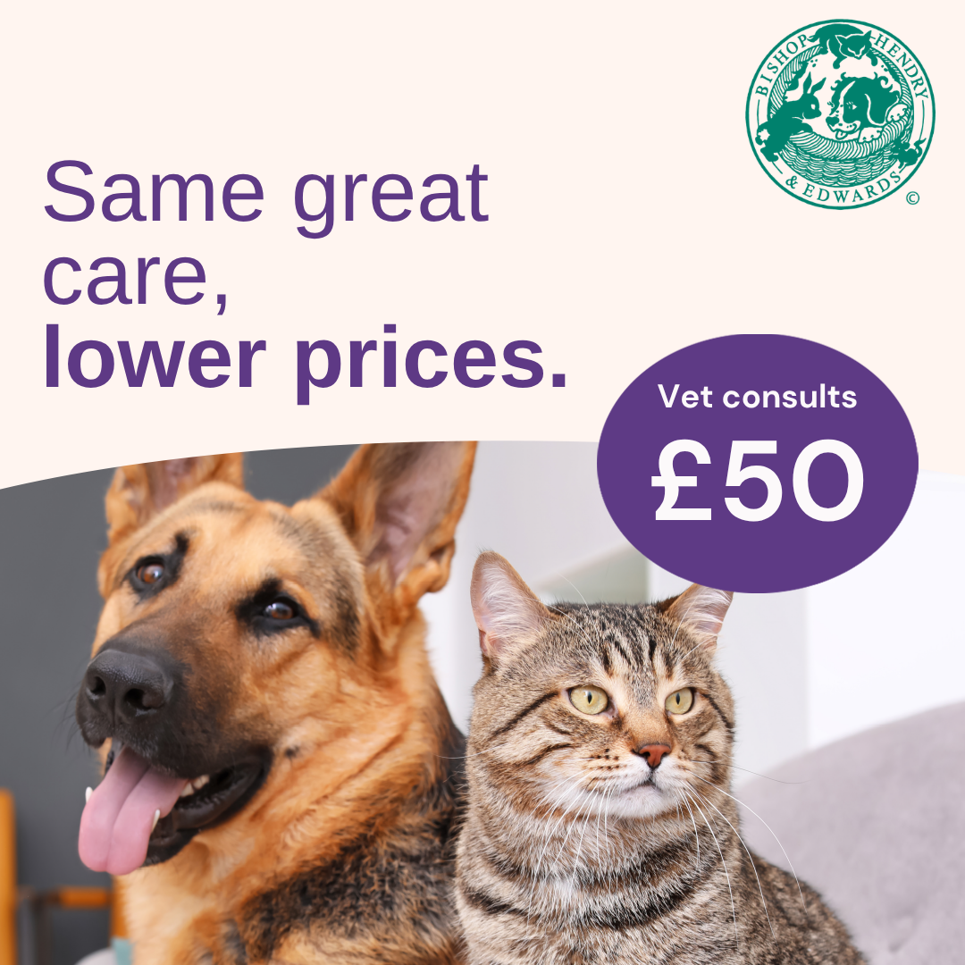 Bishop Hendry and Edwards vets Facebook ad from May 12, 2026