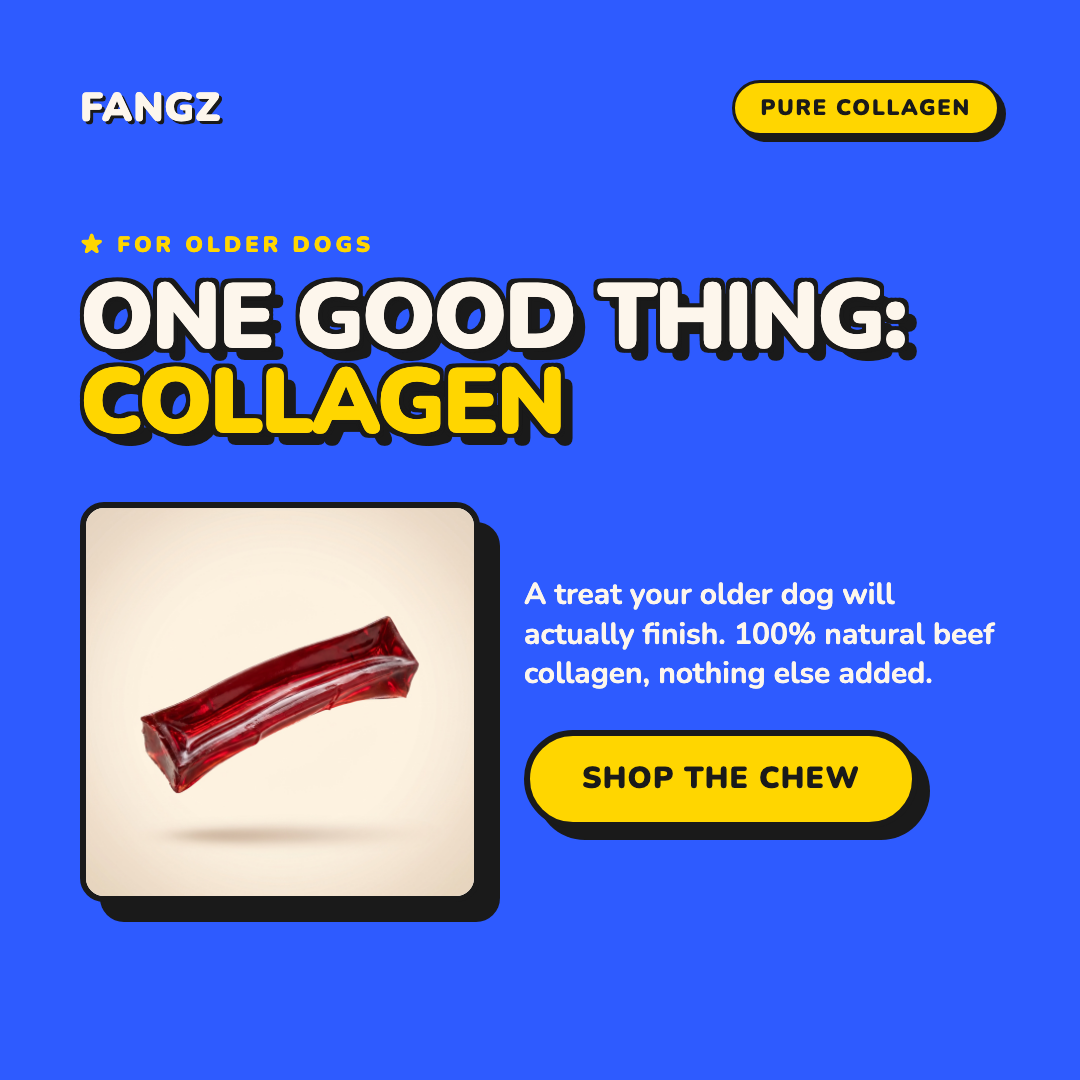 FANGZ Dog Chews Facebook ad from Jun 10, 2026