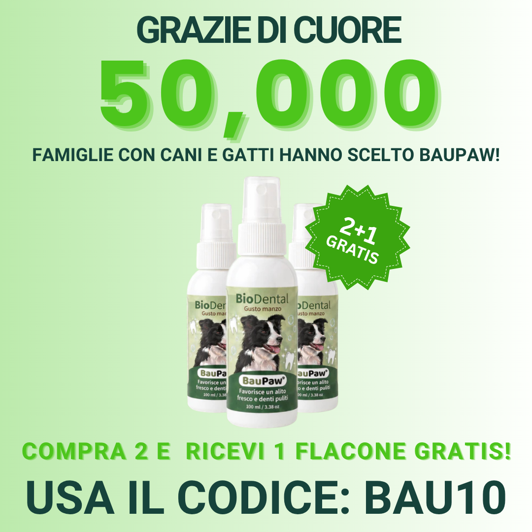 Baupaw Facebook ad