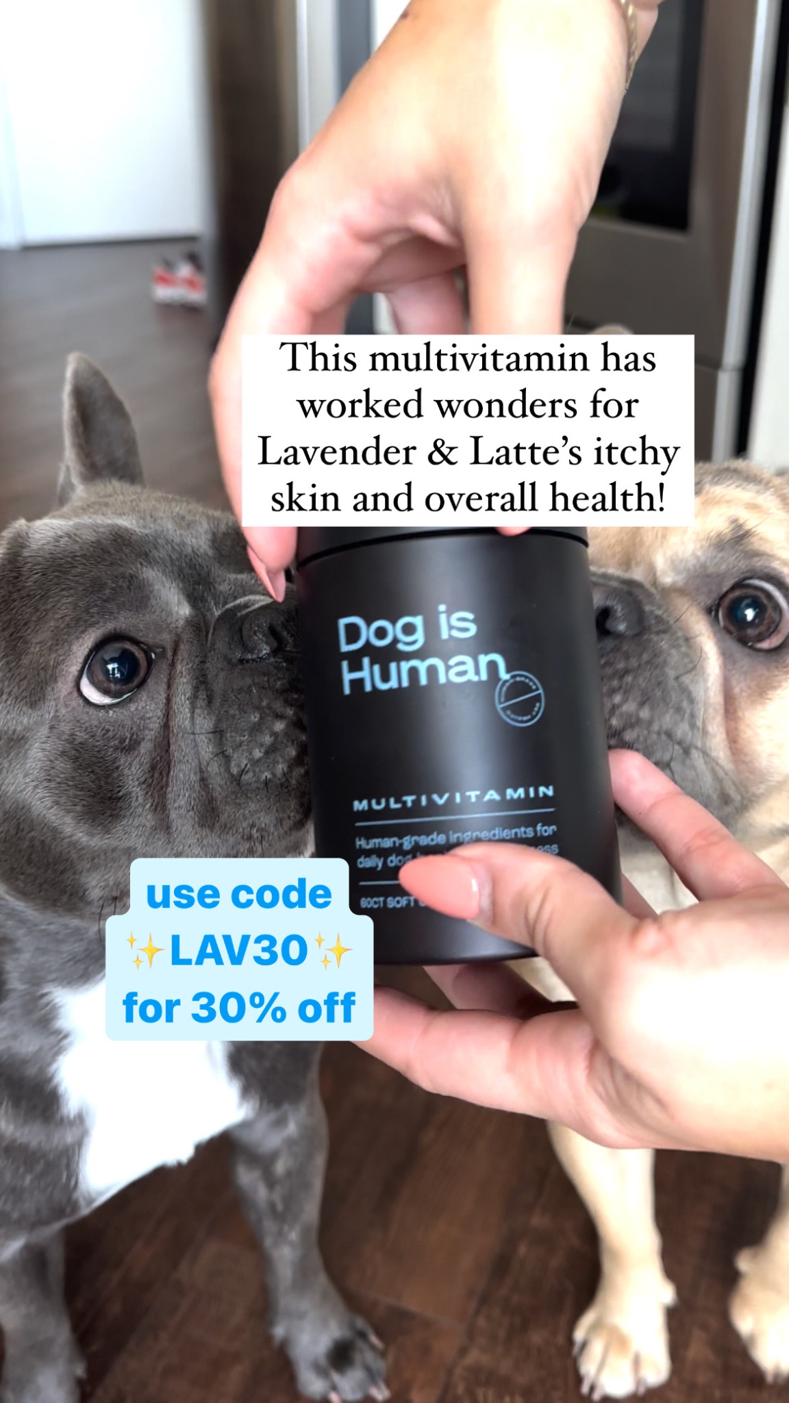 Dog is Human Facebook ad