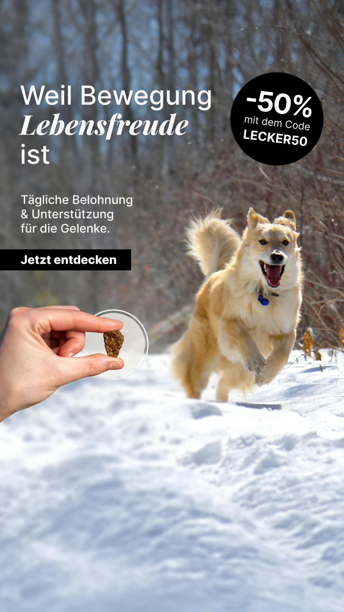 Biogena PETS Facebook ad