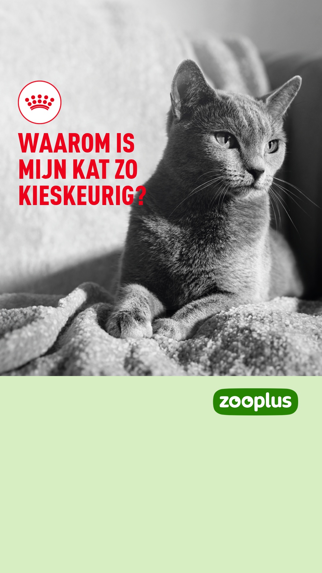 zooplus Facebook ad