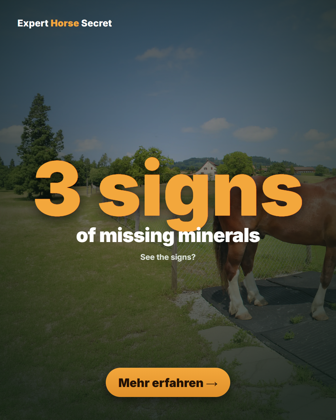 Expert Horse Secret Facebook ad: For a truly healthy horse