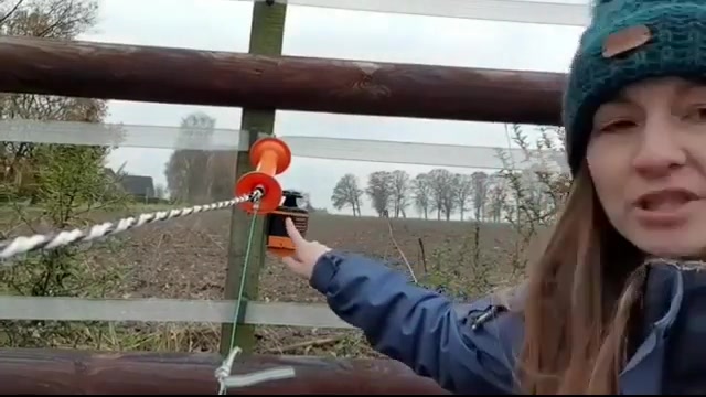 icelandic-horse.com Facebook ad: Feed-X - Automatischer Weidezaunöffner mit mechanischer…