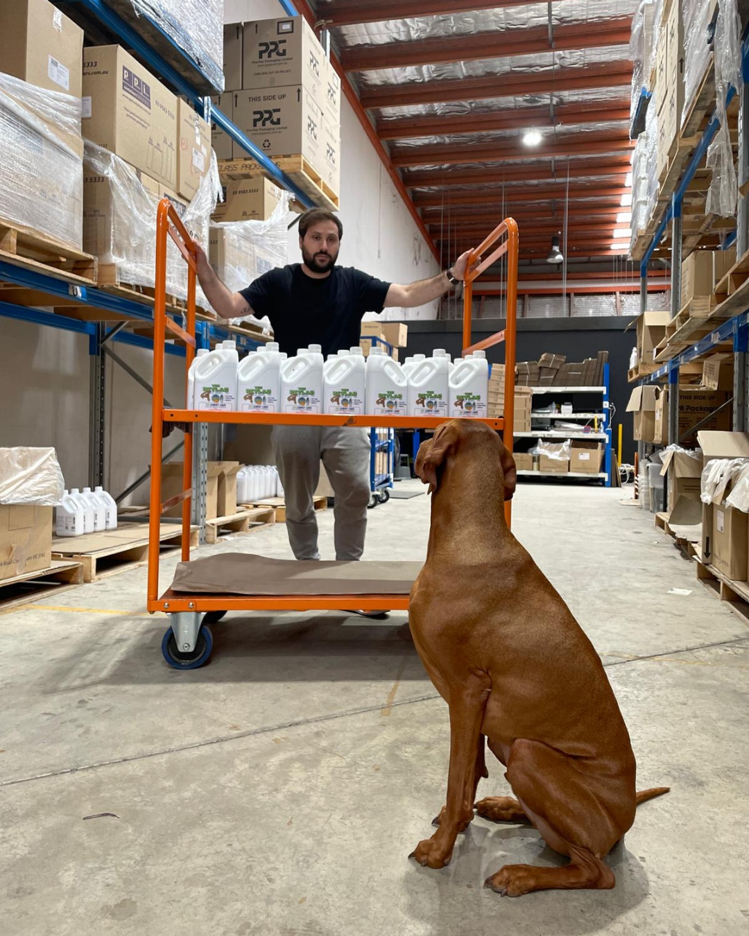 Pet-Lab Facebook ad