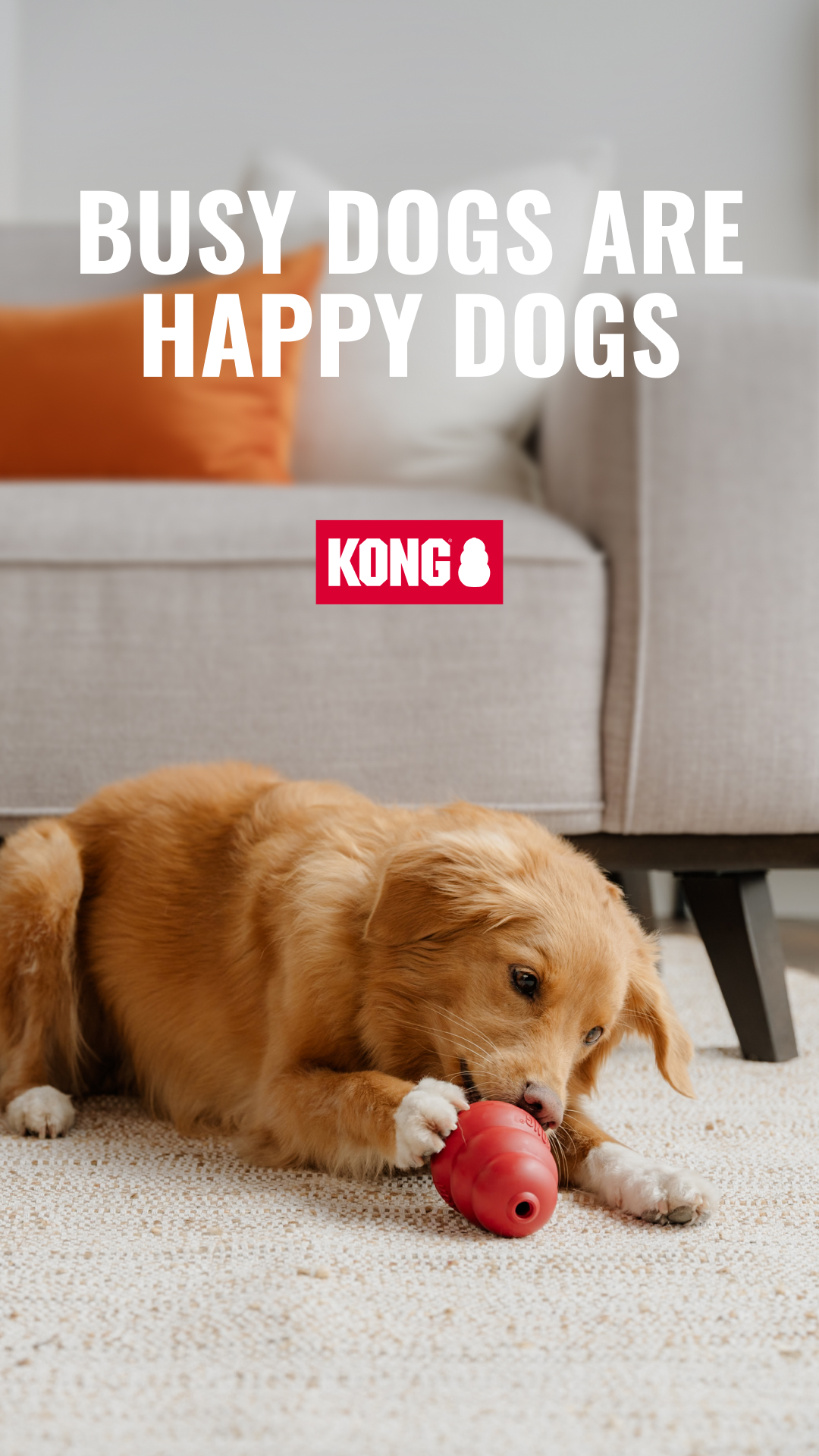 KONG Facebook ad