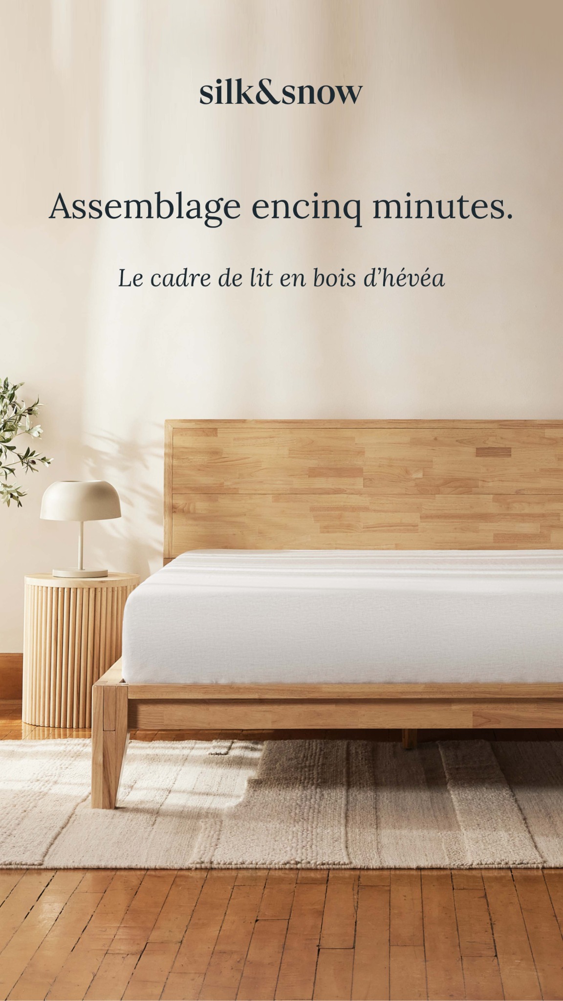 Maison Silk & Snow Facebook ad