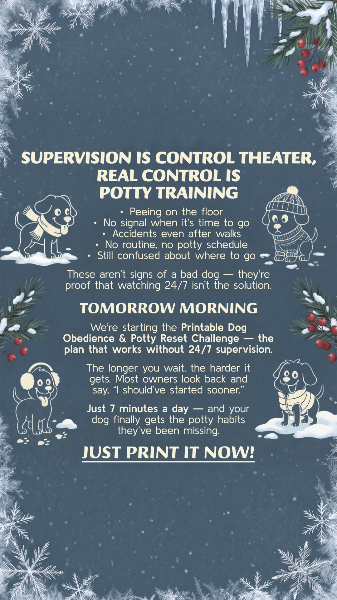PawChamp Facebook ad