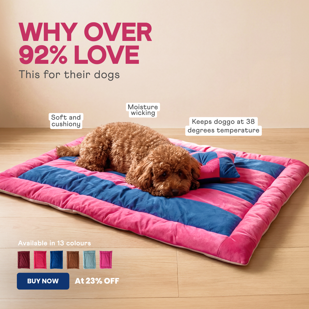 Barks & Wags Facebook ad