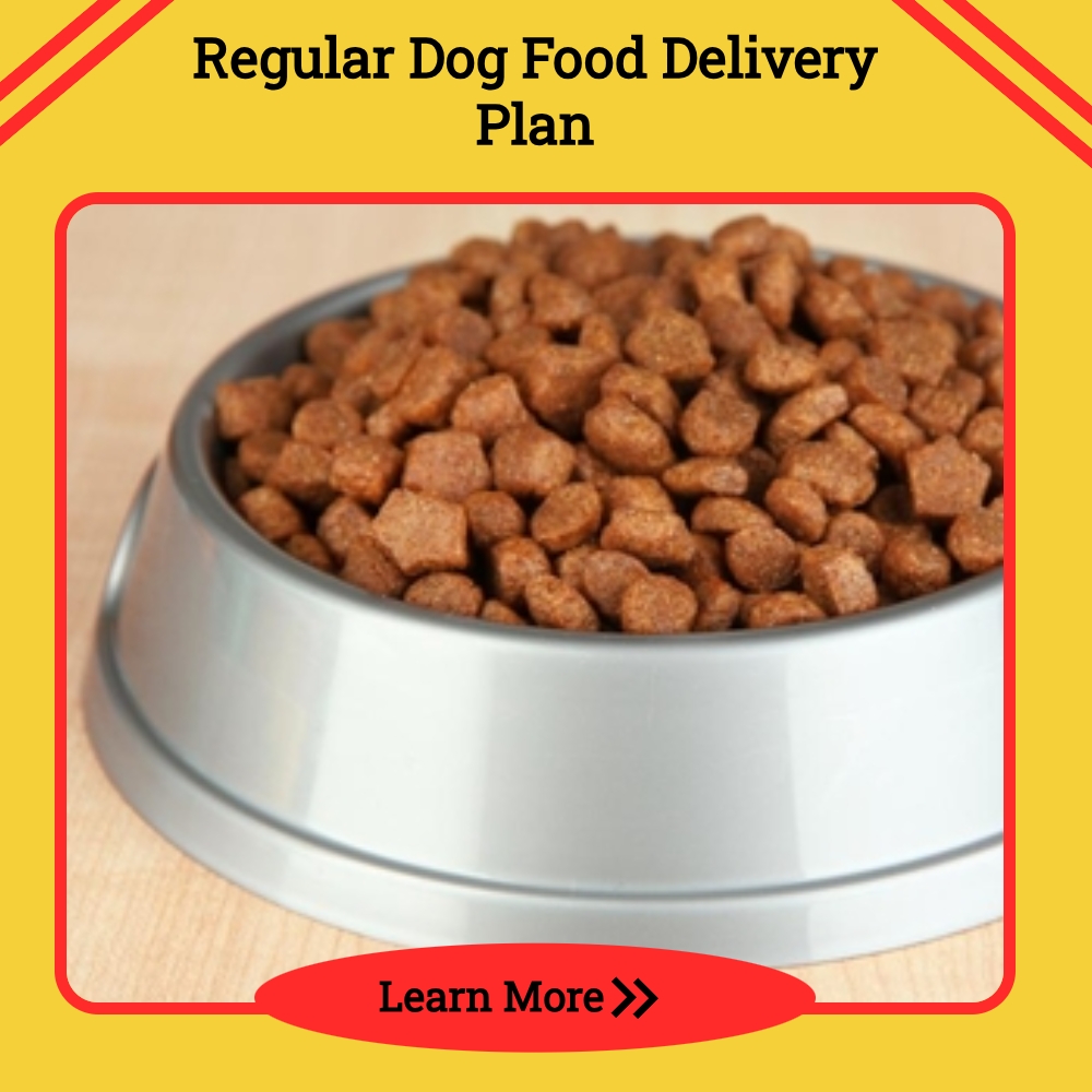 ExploreAnswers Corridor Facebook ad: Ever Tried A Regular Dog Food Delivery? Find Out More.