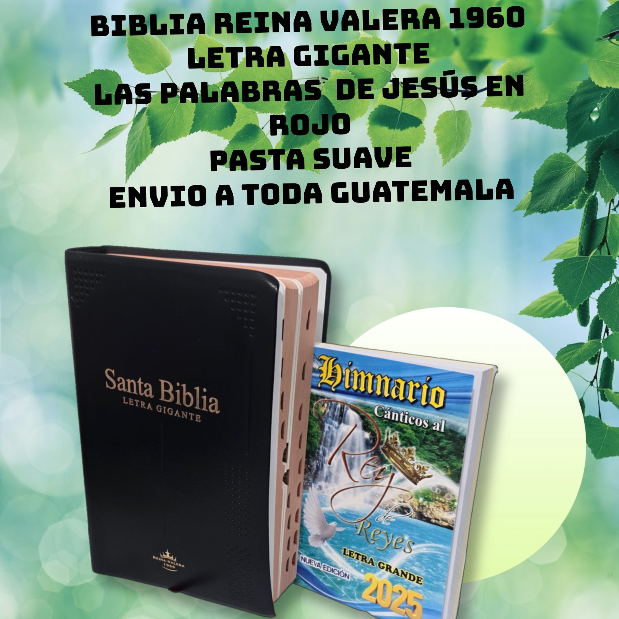 Libreria Herederos de Dios Facebook ad: Biblia reina valera 1960