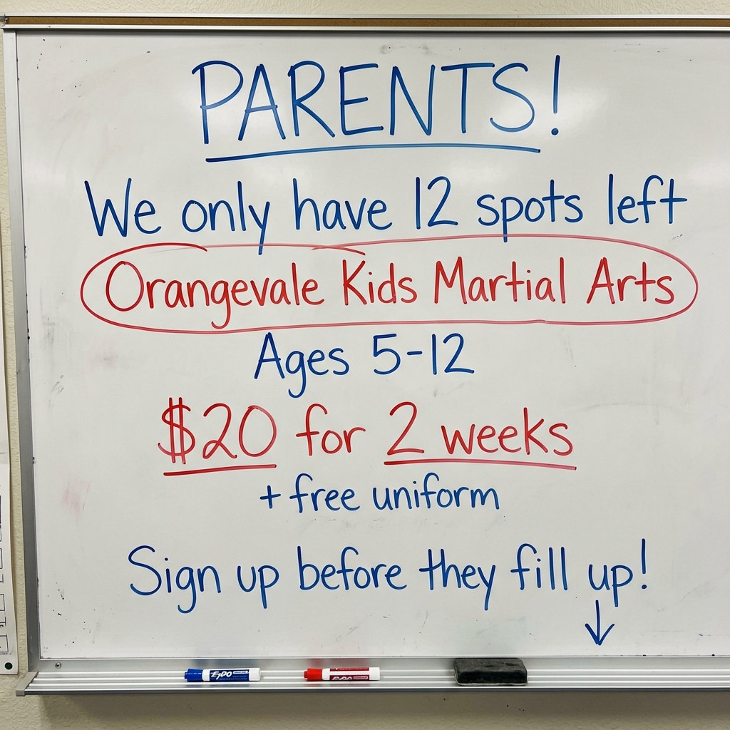 Orangevale Academy - Family Taekwondo Facebook ad