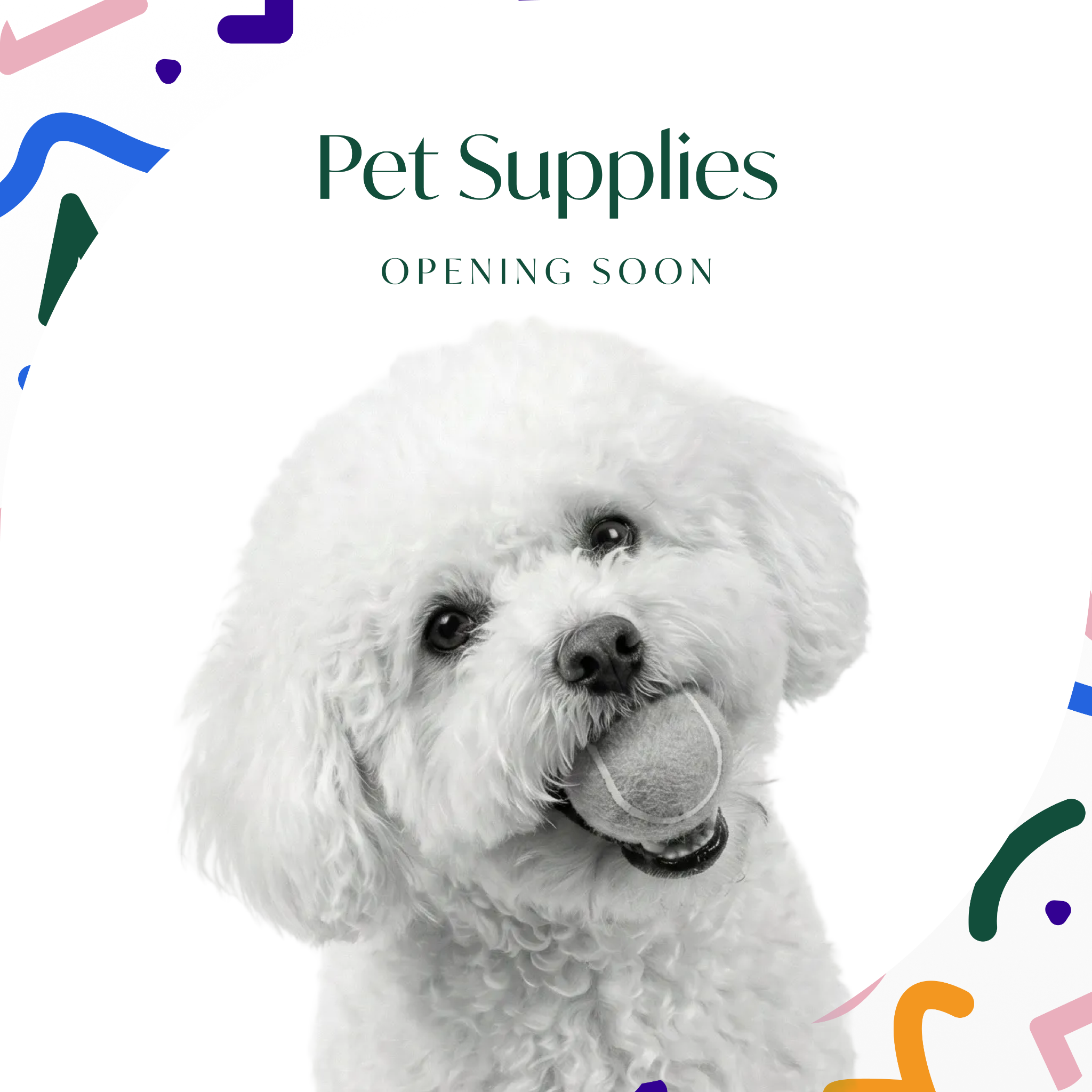 The Bark Network Facebook ad