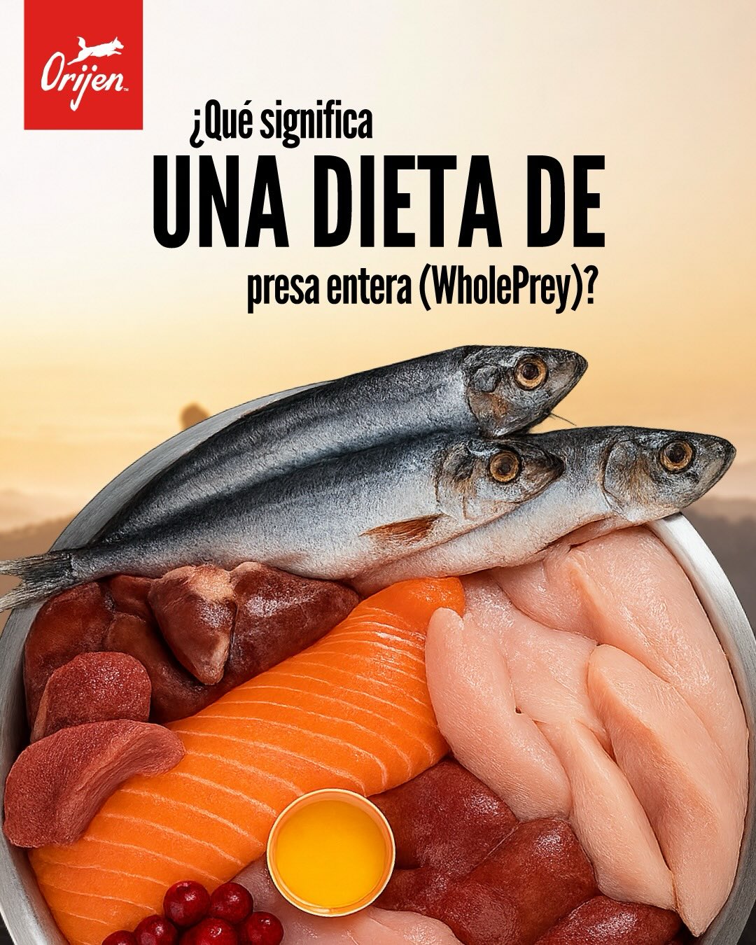 Acana Ecuador Facebook ad: ¿Qué significa una dieta de presa entera?
