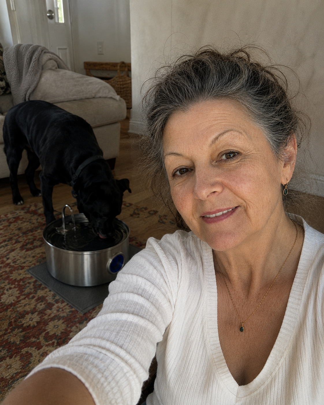 Linda Kreychmar Facebook ad: Amazon Sold A Fake Dog Fountain Under A Real Brand's Name