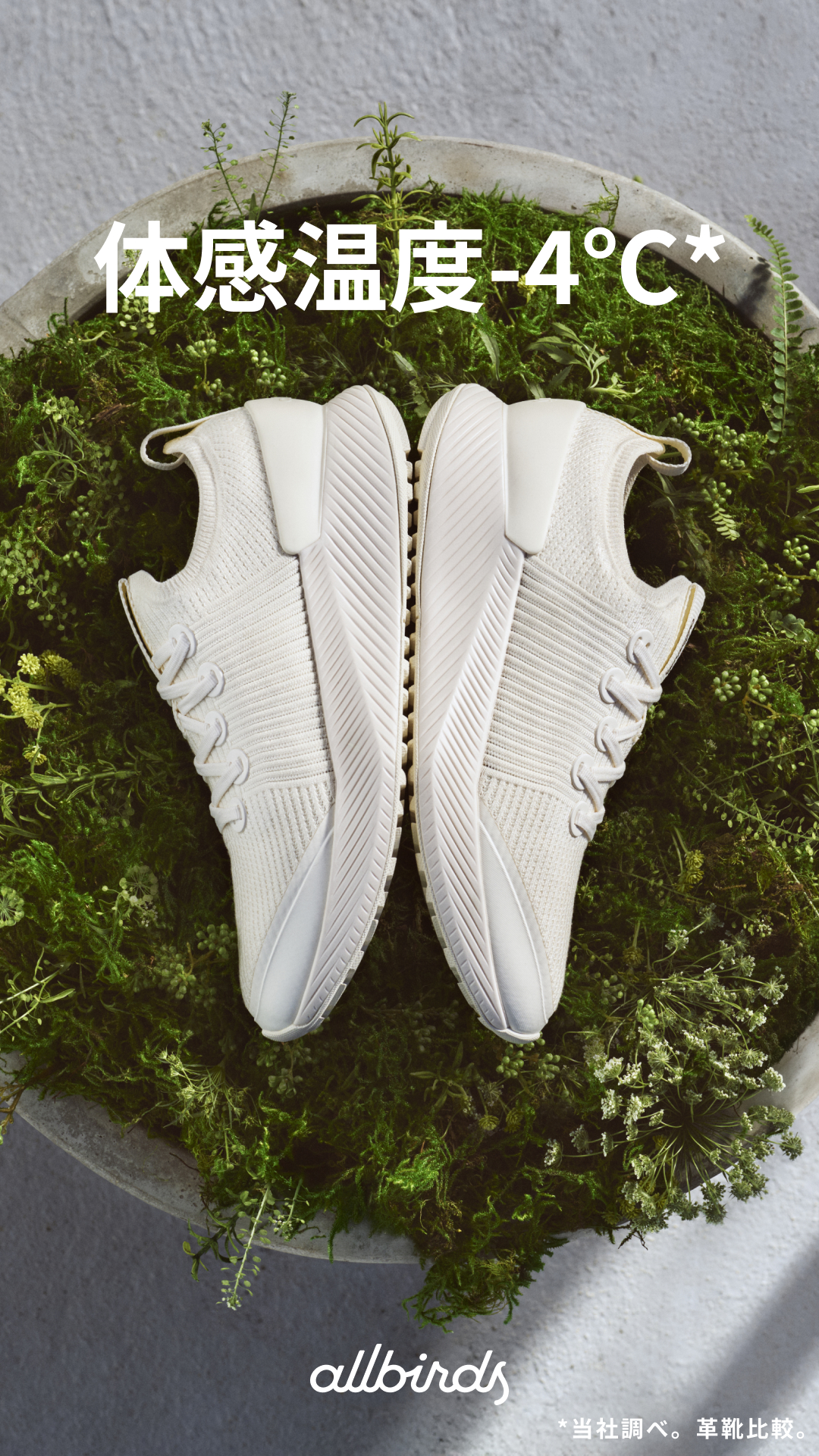 Allbirds Japan Facebook ad