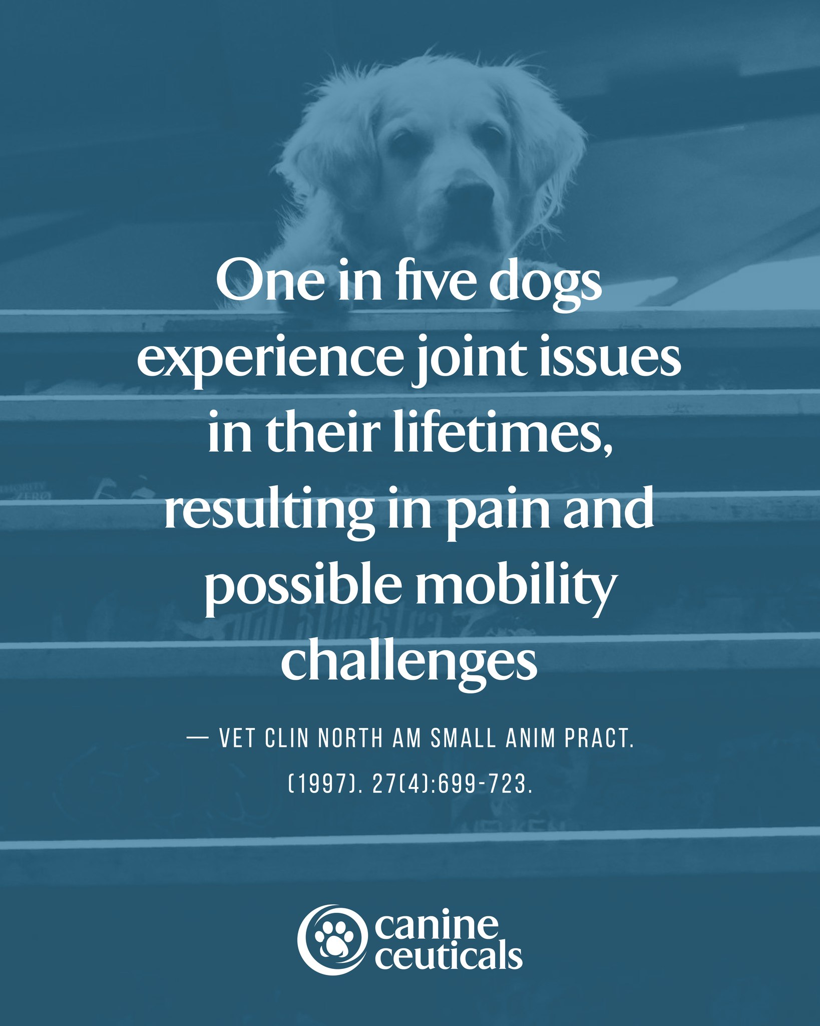 CanineCeuticals Facebook ad