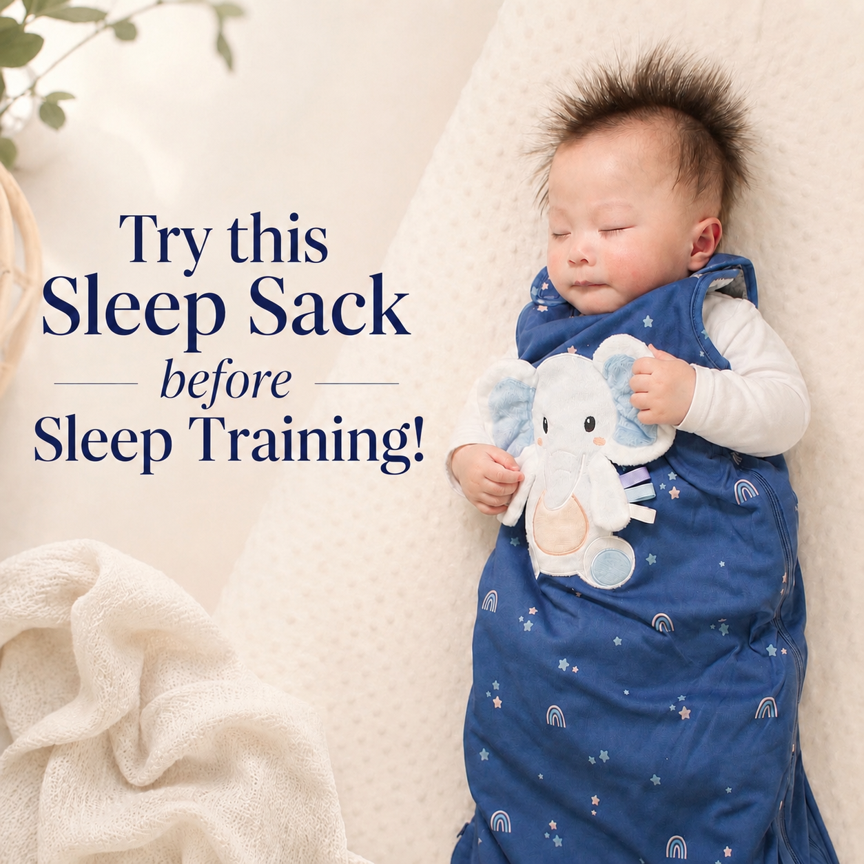 Toucan Baby Facebook ad: Sleep Sack With Built-In Lovey