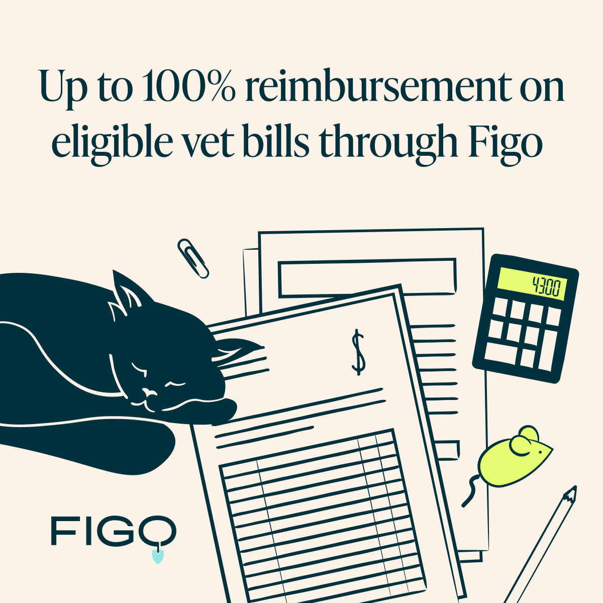 Figo Pet Insurance Facebook ad