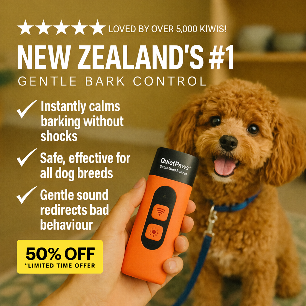 Hunters Doggy Daycare Facebook ad