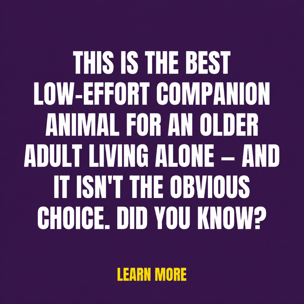 Tom's Products Facebook ad: Companion Animals for Older Adults Living Alone