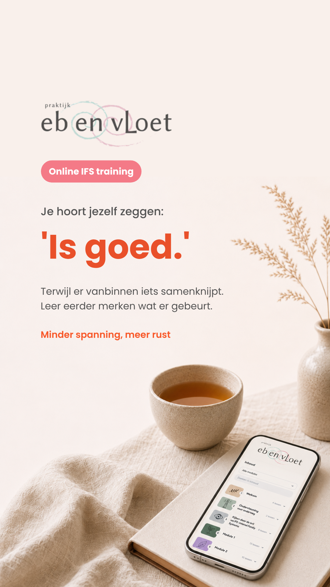 Praktijk eb en vloet Facebook ad: Neem stap voor stap jouw eigen plek in