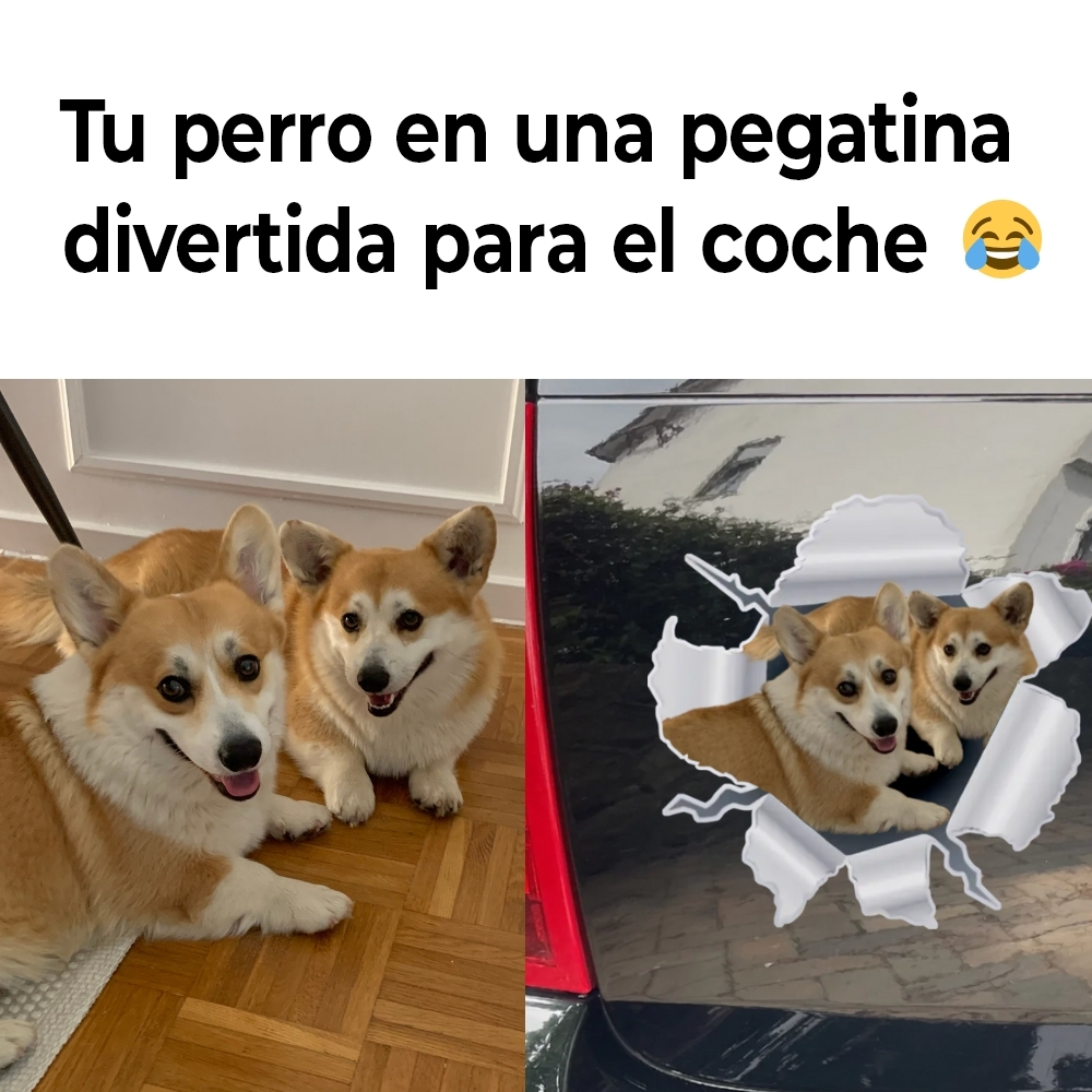 Pet Printed Facebook ad: Idea de regalo para el Día del Padre