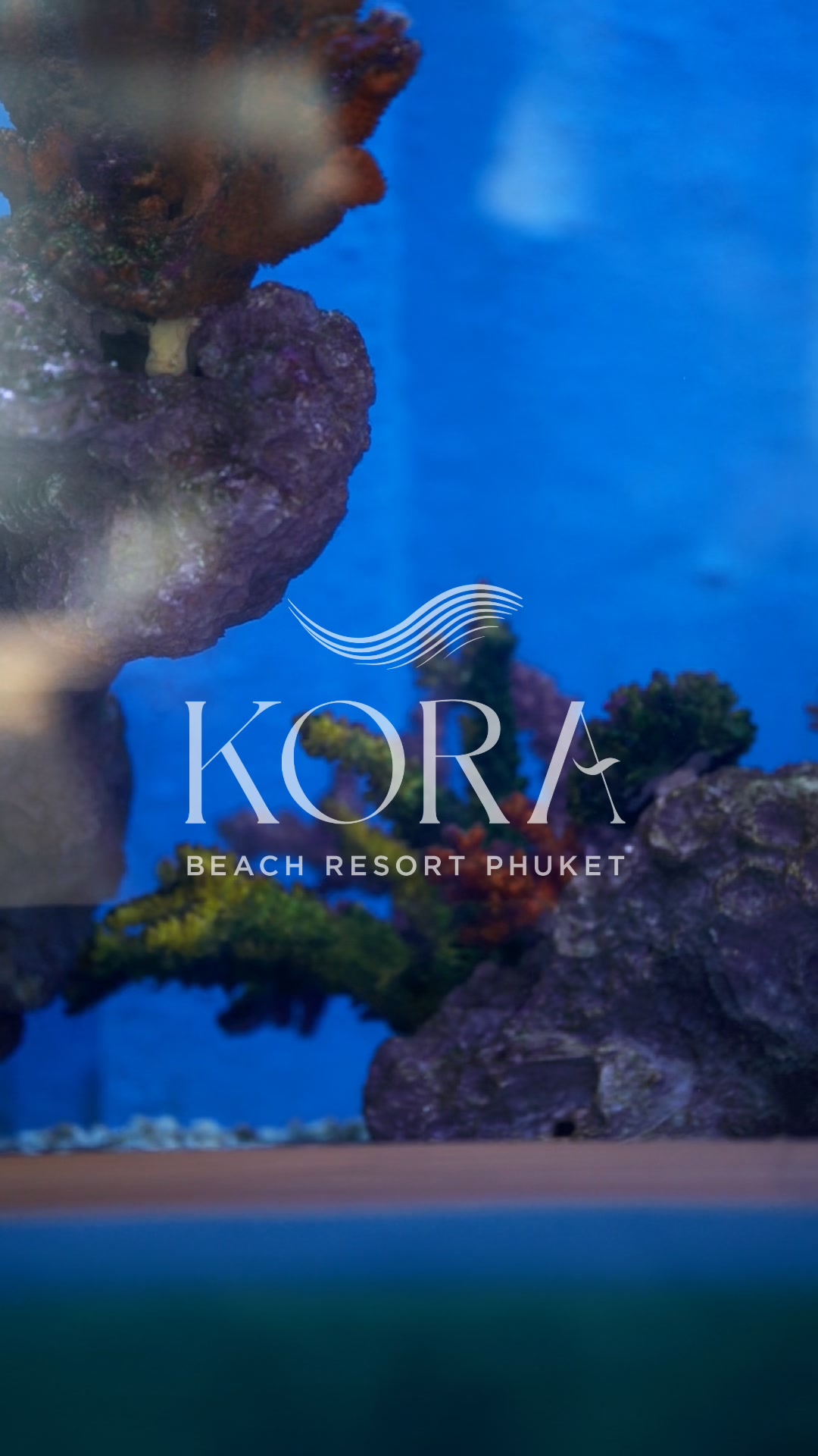 Kora Beach Resort Phuket Facebook ad from Sep 1, 2026