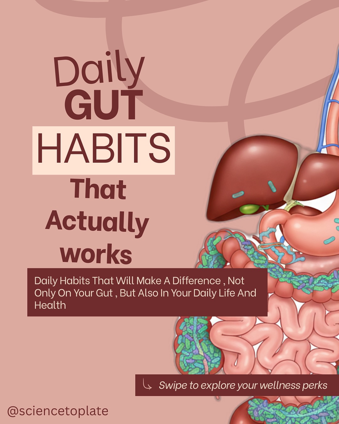 Science to Plate Facebook ad: Forget detox teas and gut reset fads, your…