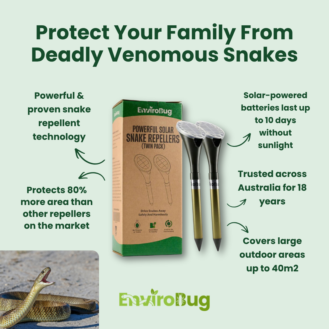 EnviroBug Facebook ad