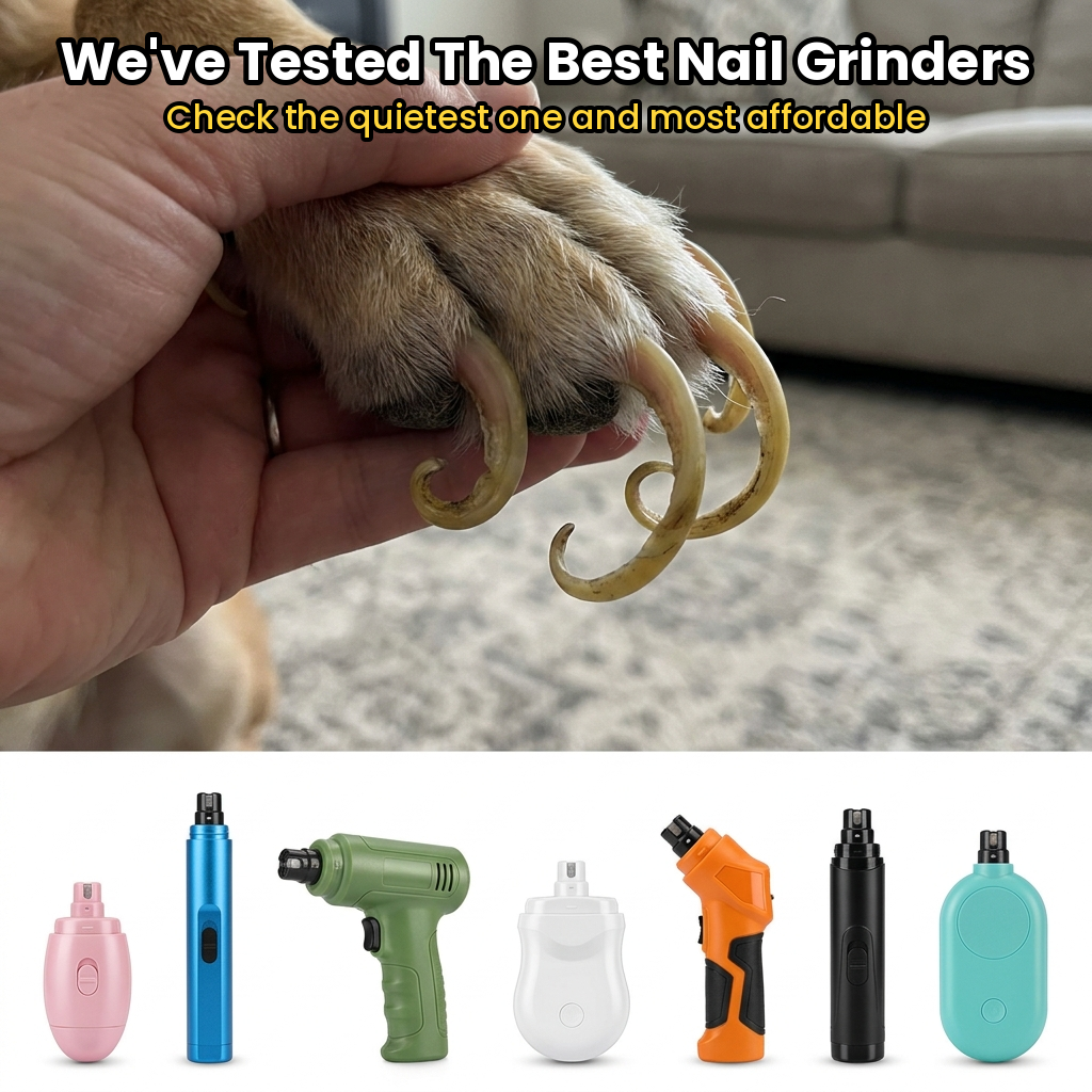 Bellasaysbest Facebook ad