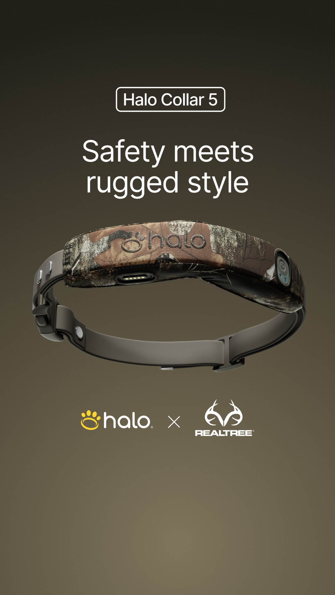 Halo Collar Facebook ad