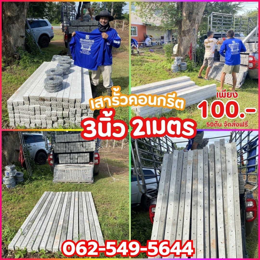 เสารั้ว กาฬสินธุ์ สกลนคร นครพนม Facebook ad: ขายดีทั่วอีสาน! เสา 100.- แข็งแน่น ส่งฟรี 50 ต้น