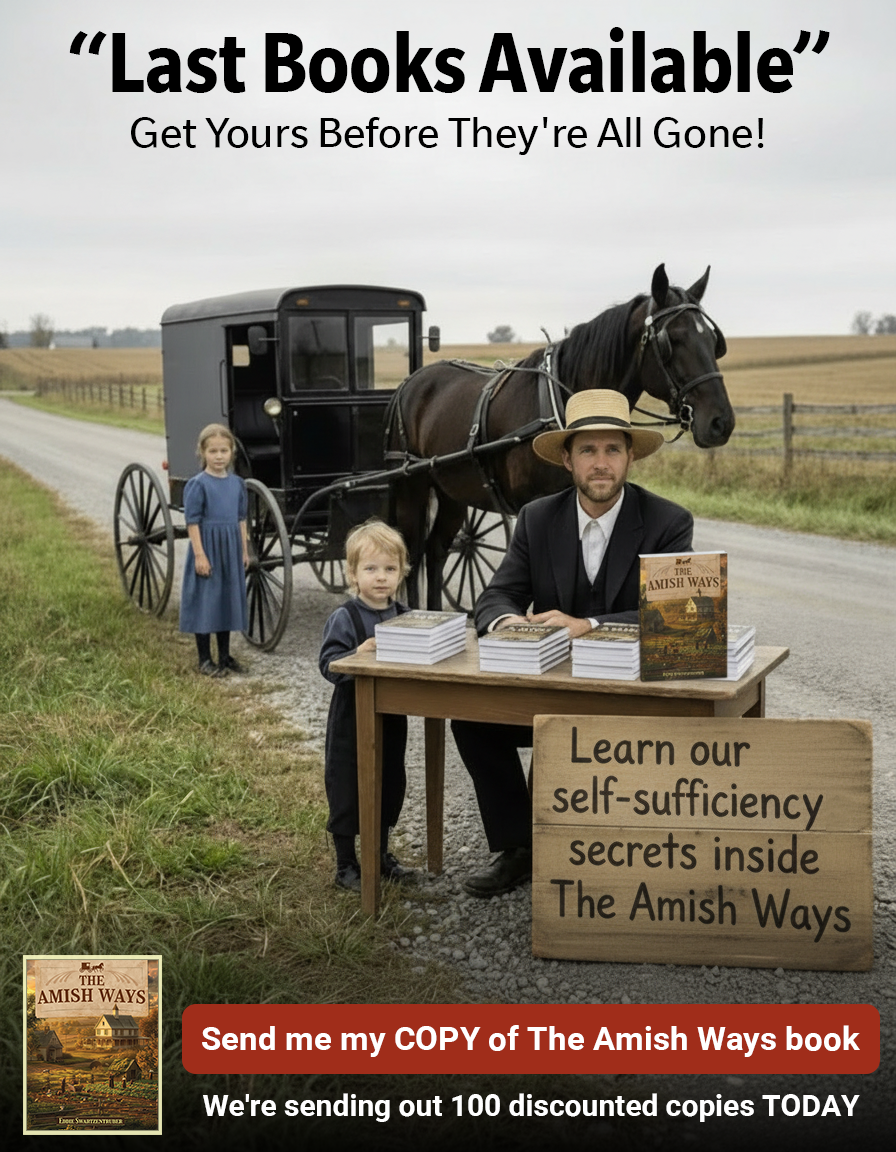The Amish Ways Facebook ad