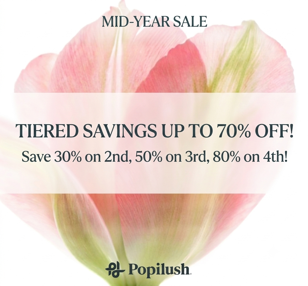 Popilush Facebook ad