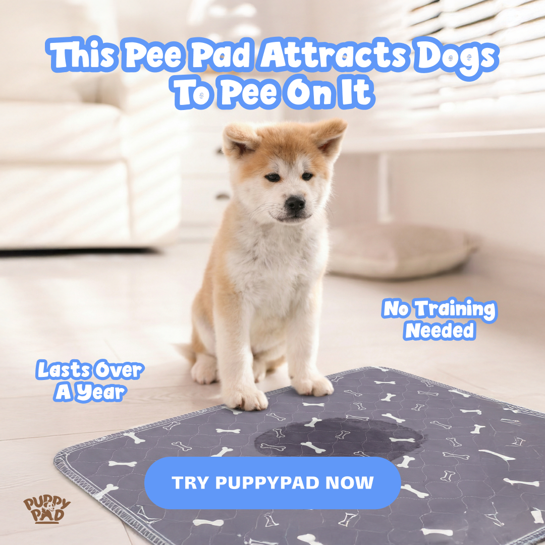 PuppyPad Facebook ad