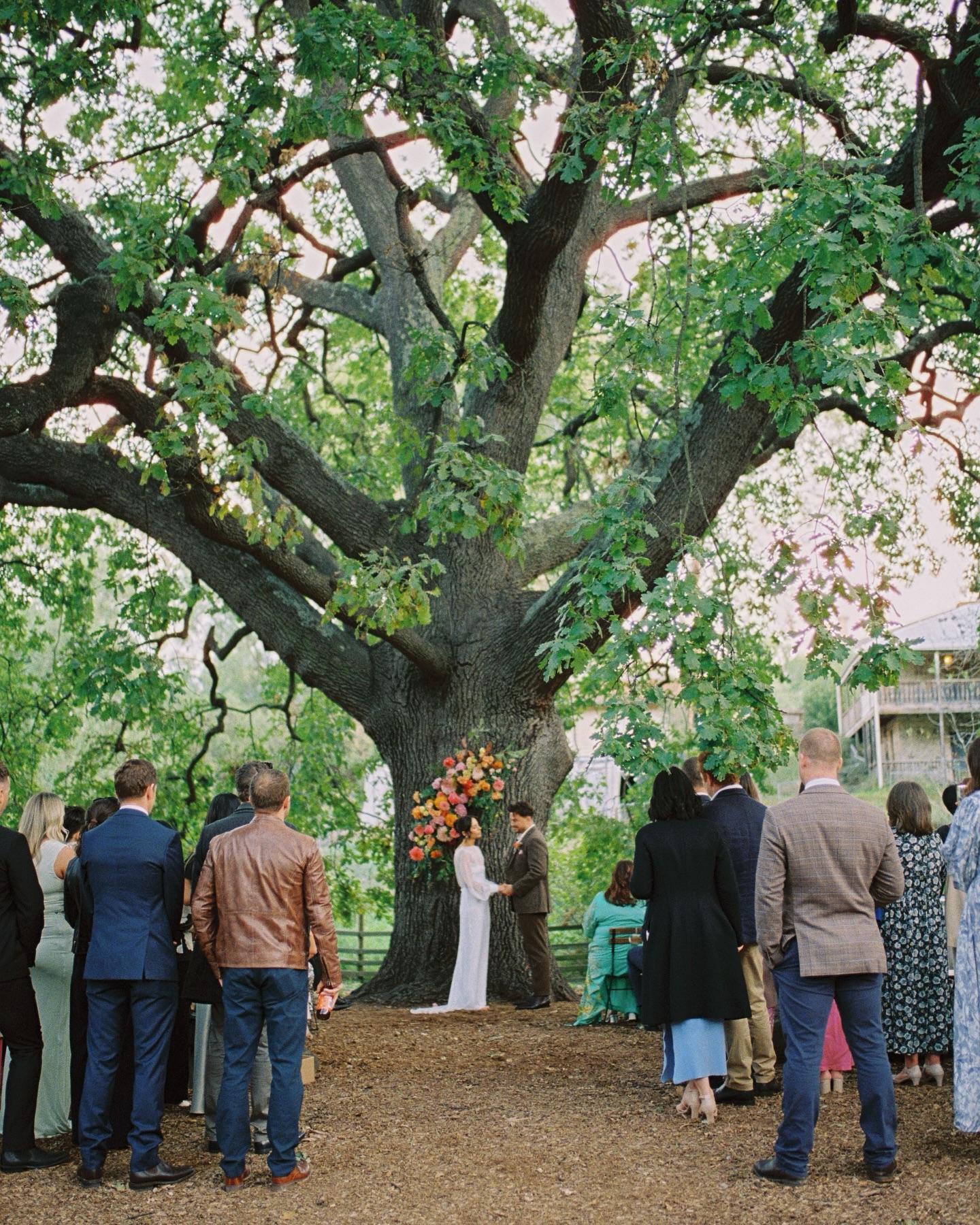 weddingsforyourstruly Facebook ad: Erin and Luke’s Wedding at Collingwood Children’s Farm…