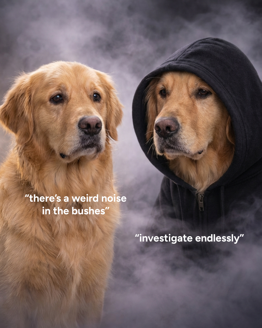 eDog Facebook ad: Keep Your Dog Safe with eDog's Containment Fences!