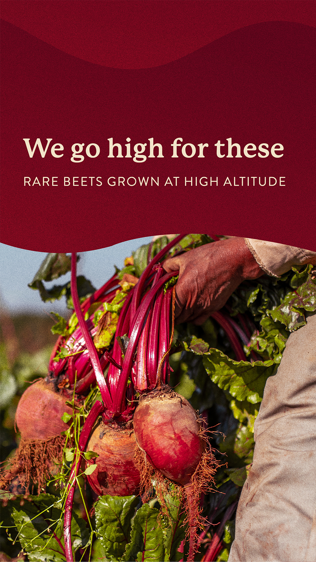 Nature's Sunshine Products, Inc. Facebook ad