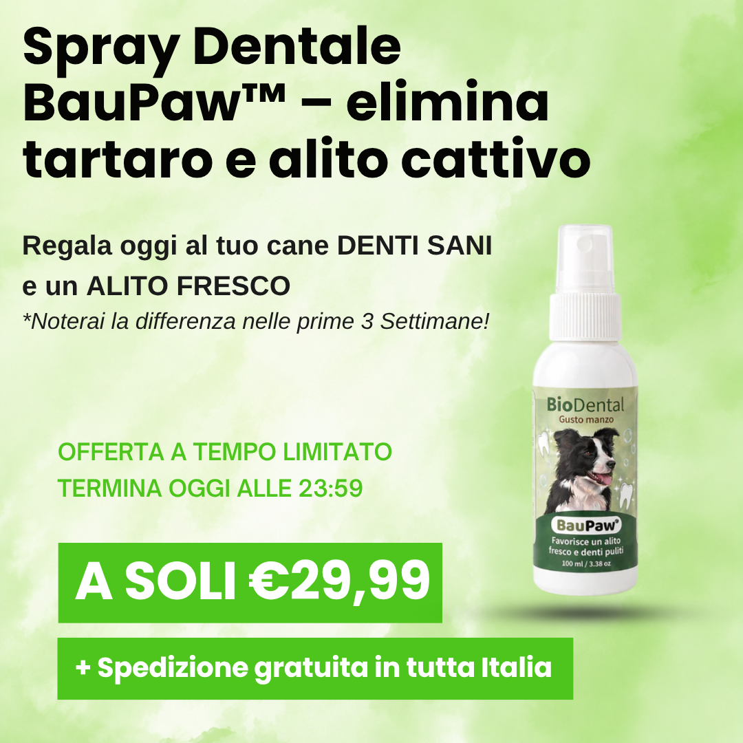 Baupaw Facebook ad