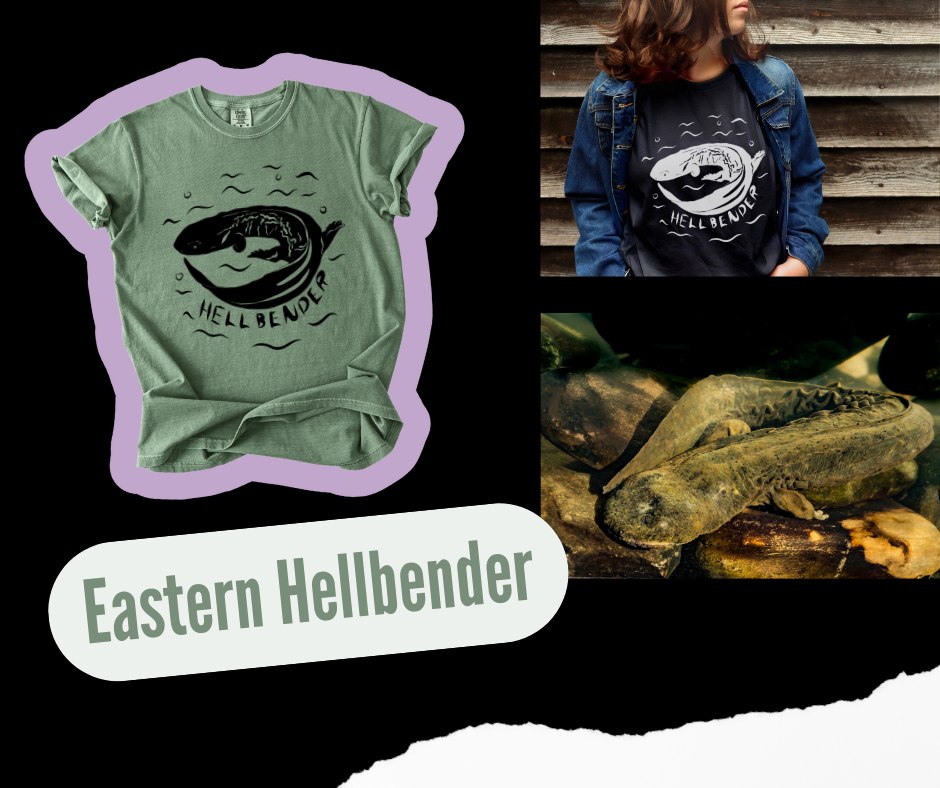 Fist of Flora Facebook ad: The Eastern Hellbender needs your help!