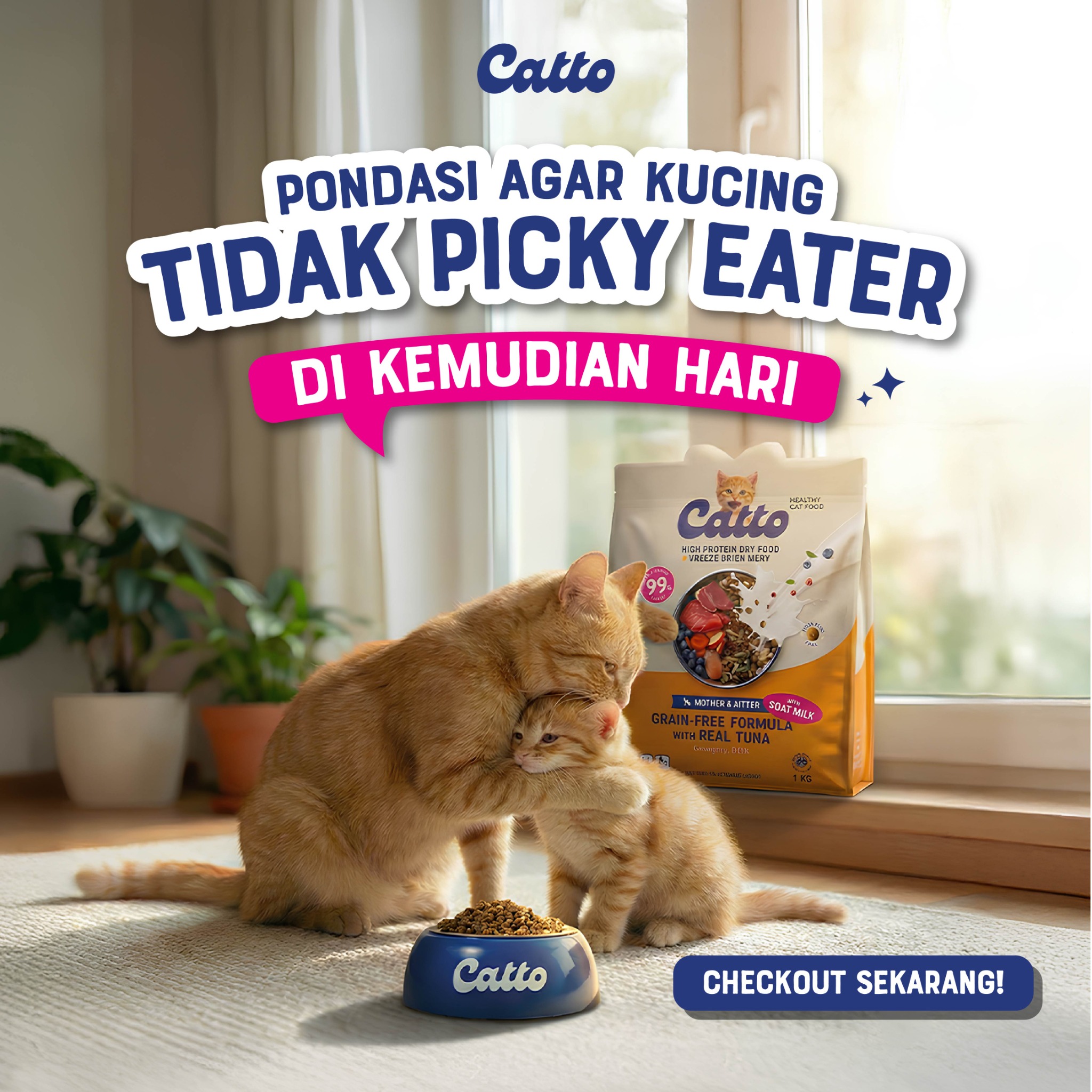 Catto Cat Food Facebook ad