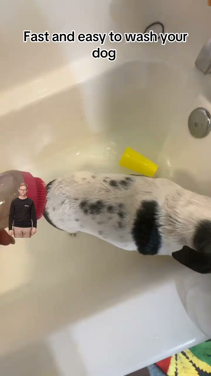 Focount Facebook ad: 2026 Sale, Over 32,400 Sold Pet Bath Brush, Grooming Tool