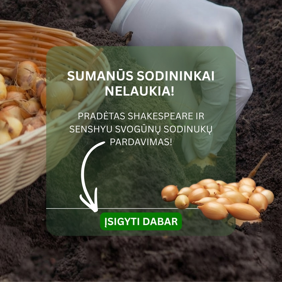 Nojaus sėklos Facebook ad