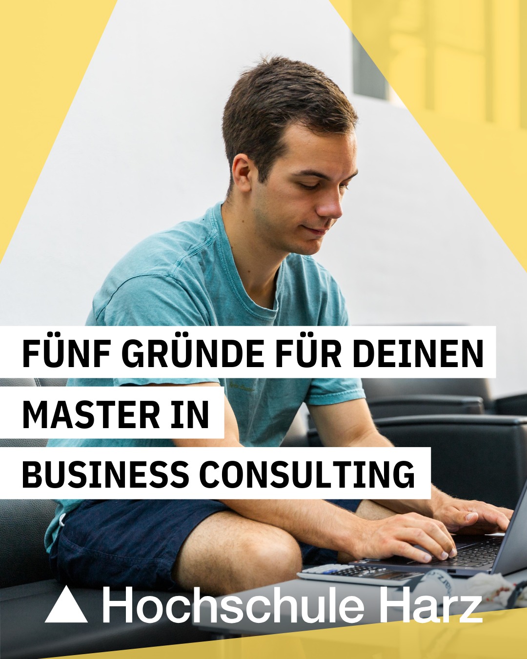 Hochschule Harz Facebook ad: Du siehst dich in der Consulting-Branche?