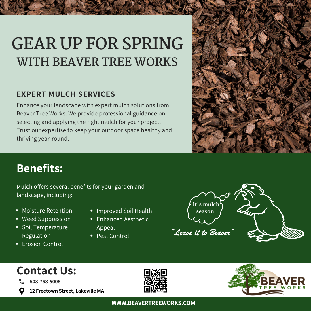 Beaver Tree Works, LLC Facebook ad: Spruce Up Your Yard with Premium Mulch!