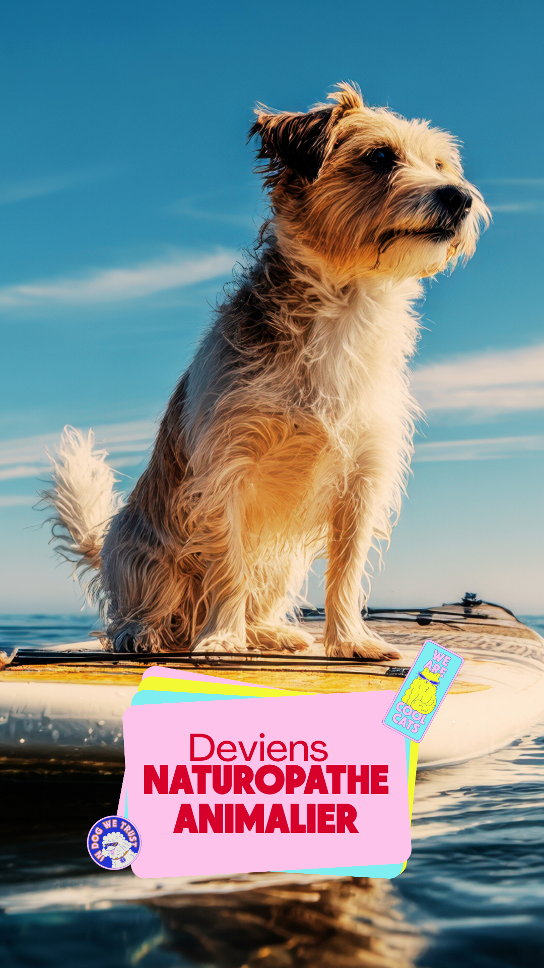 Snob Dog Academy Facebook ad