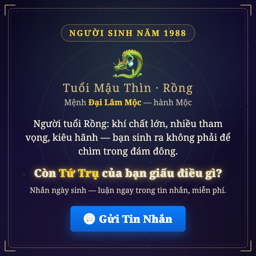 Hạnh Phạm Facebook ad